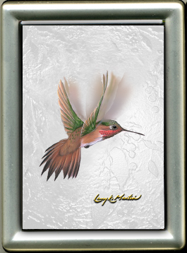 Rufous Hummingbird framed giclee mini