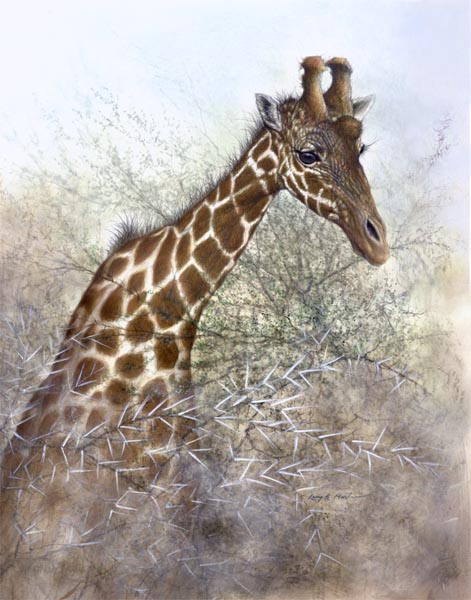 reticulated giraffe by American wildlife artist Larry K. Martin