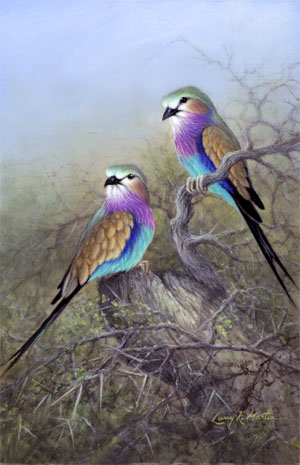 lilac breasted rollers by American wildlife artist Larry K. Martin