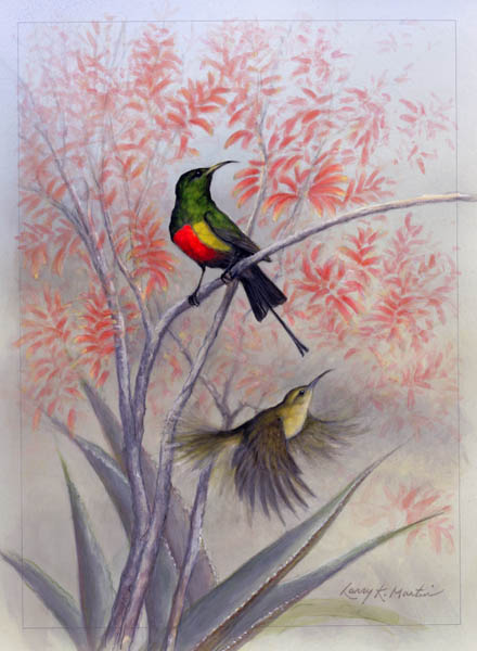 "All the Name Implies" Beautiful Sunbird by American wildlife artist Larry K. Martin