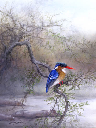 malachite kingfisher by American wildlife artist Larry K. Martin