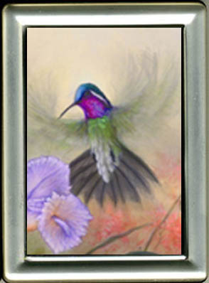 "Mtn Gems" Hummingbird