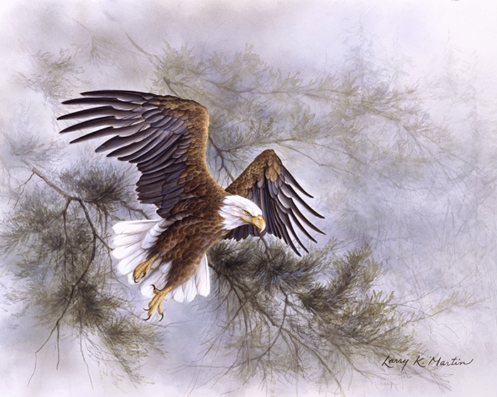 "Evergreen Flight" Bald Eagle by American wildlife artist Larry K. Martin