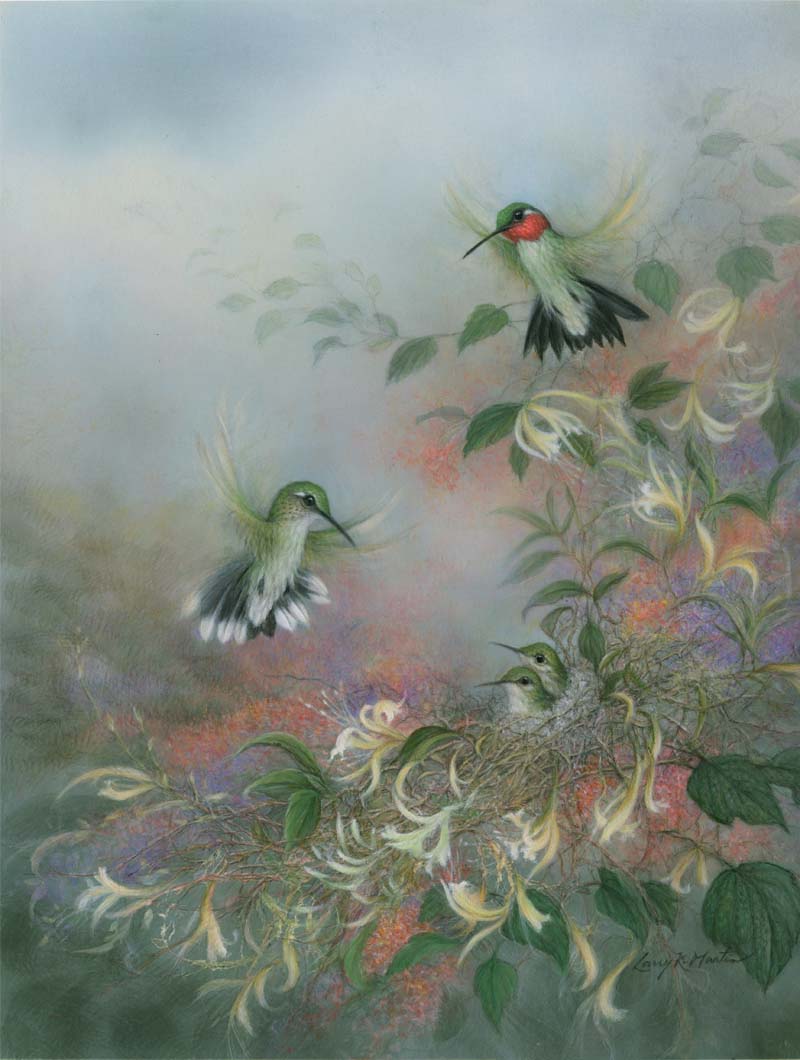 "Nestled" Hummingbirds