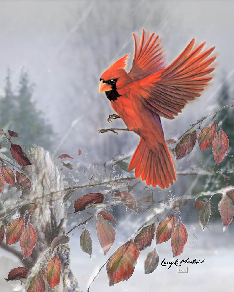 "Snow Birds" - Male