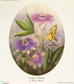 "Swallowtail and Passion Flowers" by American wildlife artist Larry K. Martin
